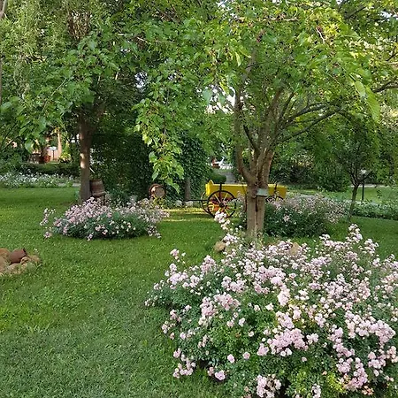 Liani Хотел 3*
