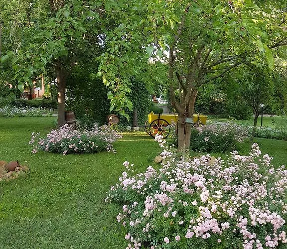 Liani Ξενοδοχείο 3*